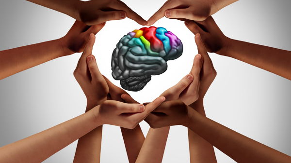 Autism Spectrum Disorder: Variance Manifestation and Strategies Provide Tailored Supports and Services